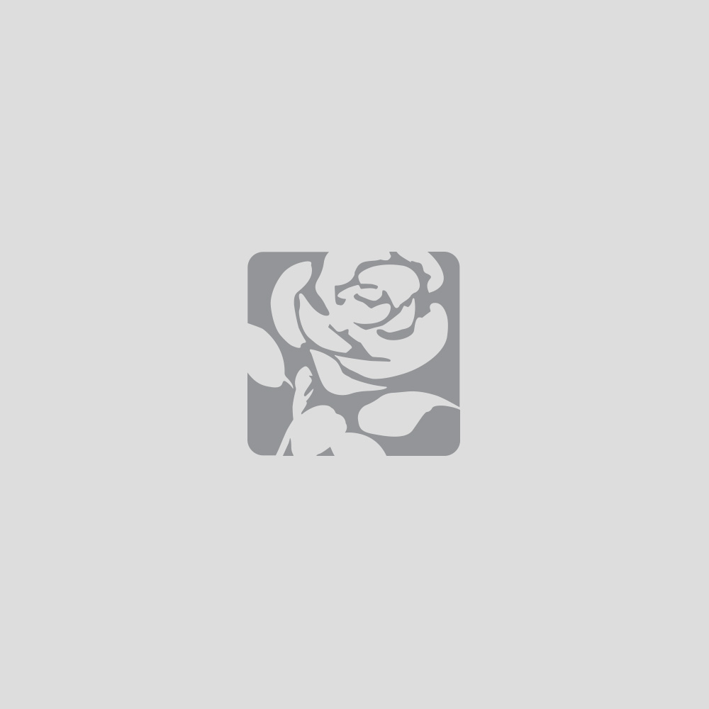 Default portrait for Thank you to outgoing Labour Group Leader David Molyneux MBE